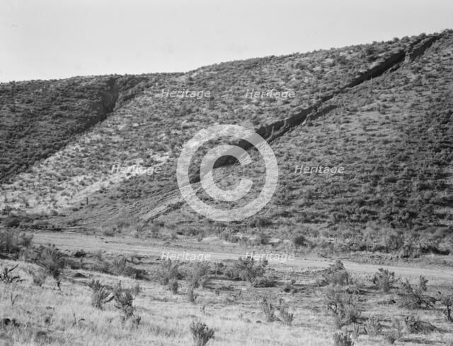 Water seepage from newly irrigated land..., Dead Ox Flat, Malheur County, Oregon, 1939. Creator: Dorothea Lange.