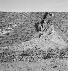 Water seepage from newly irrigated land..., Dead Ox Flat, Malheur County, Oregon, 1939. Creator: Dorothea Lange