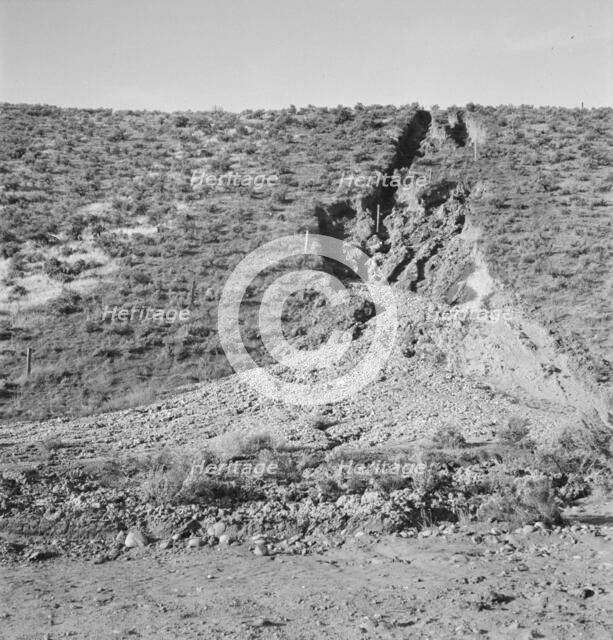 Water seepage from newly irrigated land..., Dead Ox Flat, Malheur County, Oregon, 1939. Creator: Dorothea Lange.