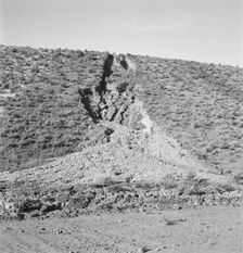 Water seepage from newly irrigated land..., Dead Ox Flat, Malheur County, Oregon, 1939. Creator: Dorothea Lange
