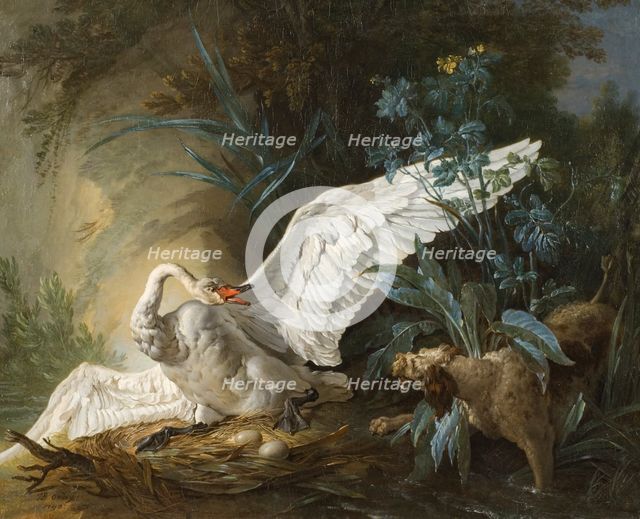 Water Spaniel Surprising a Swan on its Nest, 1740. Creator: Jean-Baptiste Oudry.