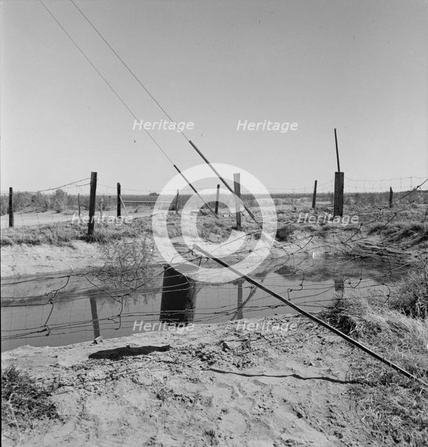 Water supply, California squatter camp near Calipatria, California, 1937. Creator: Dorothea Lange.