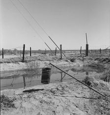 Water supply, California squatter camp near Calipatria, California, 1937. Creator: Dorothea Lange