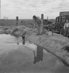 Water supply, California squatter camp near Calipatria, California, 1937. Creator: Dorothea Lange
