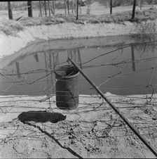Water supply, California squatter camp near Calipatria, California, 1937. Creator: Dorothea Lange