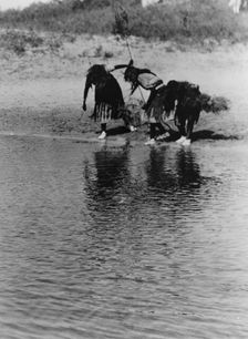 Water rite purification, Cheyenne animal dance, c1927. Creator: Edward Sheriff Curtis