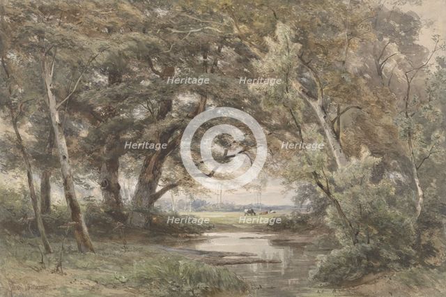 Water under trees at the end of a forest, 1835-1877. Creator: Jan Willem van Borselen.
