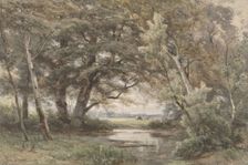 Water under trees at the end of a forest, 1835-1877. Creator: Jan Willem van Borselen