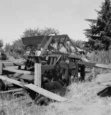 Waterwheel for field irrigation in the bean..., north of West Stayton, Marion County, Oregon, 1939. Creator: Dorothea Lange