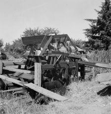Waterwheel for field irrigation in the bean..., north of West Stayton, Marion County, Oregon, 1939. Creator: Dorothea Lange