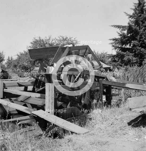 Waterwheel for field irrigation in the bean..., north of West Stayton, Marion County, Oregon, 1939. Creator: Dorothea Lange.