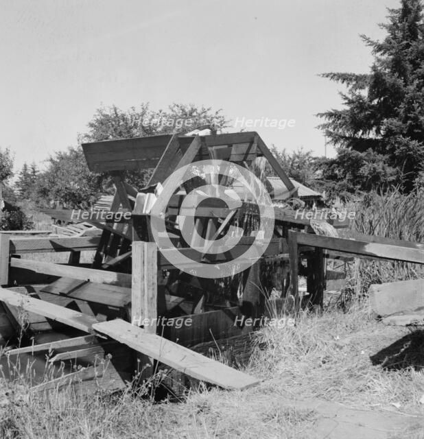 Waterwheel for field irrigation in the bean..., north of West Stayton, Marion County, Oregon, 1939. Creator: Dorothea Lange.