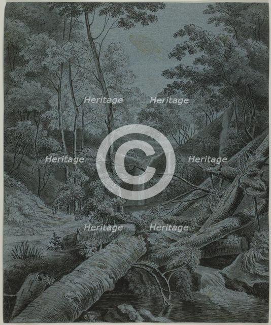 Waterfall and Fallen Logs in Forest, n.d. Creator: Unknown.