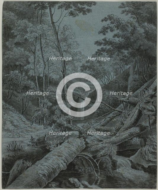 Waterfall and Fallen Logs in Forest, n.d. Creator: Unknown.