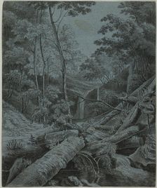 Waterfall and Fallen Logs in Forest, n.d. Creator: Unknown