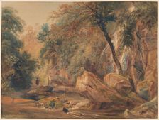 Waterfall in the Dingle at Badger Hall, probably 1841. Creator: Peter de Wint