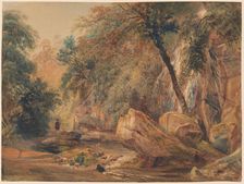 Waterfall in the Dingle at Badger Hall, probably 1841. Creator: Peter de Wint
