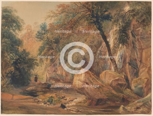 Waterfall in the Dingle at Badger Hall, probably 1841. Creator: Peter de Wint.