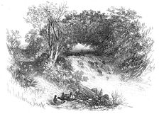 Waterfall in Tichborne Park, Alresford, Hants., 1871. Creator: Unknown