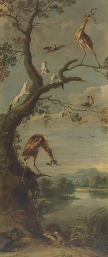 Waterfowl and Stoats, between 1600 and 1657. Creator: Frans Snyders