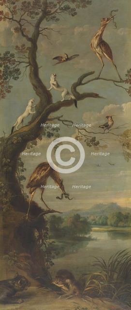 Waterfowl and Stoats, between 1600 and 1657. Creator: Frans Snyders.