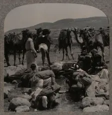 Watering camels at Jacob's Well c1900