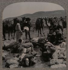 Watering camels at Jacob's Well c1900
