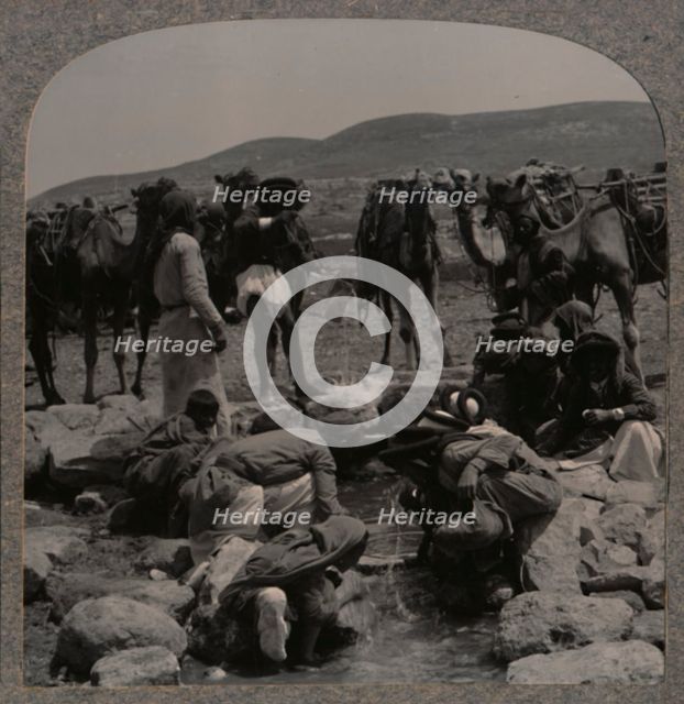 'Watering camels at Jacob's Well', c1900. Artist: Unknown.