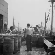 Watering fish at the Fulton fish market with brine water, New York, 1943. Creator: Gordon Parks