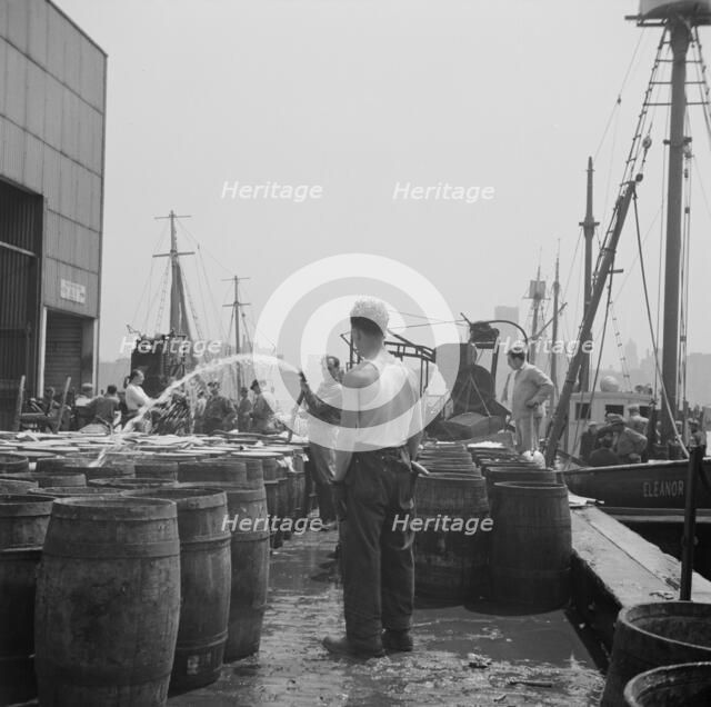 Watering fish at the Fulton fish market with brine water, New York, 1943. Creator: Gordon Parks.