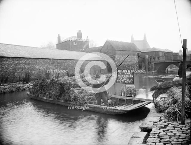 Waterman Abel Beesley on his punt full of bundles of rushes, Fisher Row, Oxford, Oxfordshire, 1901. Creator: Henry Taunt.