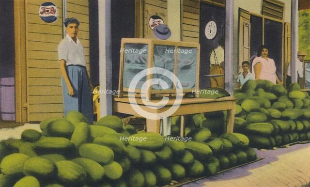 'Watermelons For Sale, Trinidad, B.W.I.', c1940s. Creator: Unknown.