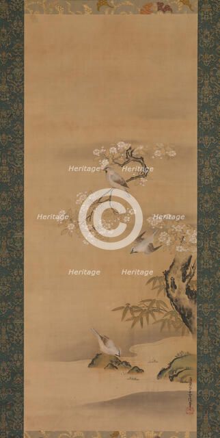 Waxwings, Cherry Blossoms, and Bamboo, late 17th century. Creator: Kiyohara Yukinobu.