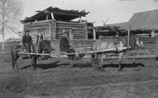Ways of traveling on the roads of Mountain Shoria, Cradle, 1913. Creator: GI Ivanov