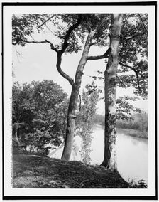 Wabash River from Tecumseh's Trail, Tippecanoe battleground, Ind., c1902. Creator: Unknown