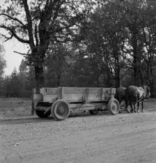 Wagon built on the farm utilizing parts of wrecked Dodge..., Oregon, Kirby (Josephine County), 1939. Creator: Dorothea Lange