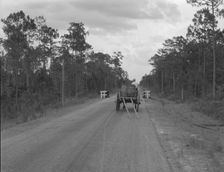 Wagon hauling turpentine out of the woods, Georgia, 1937. Creator: Dorothea Lange