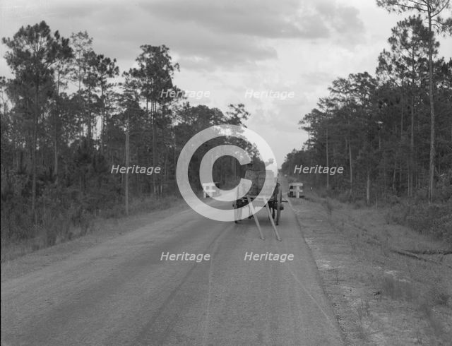 Wagon hauling turpentine out of the woods, Georgia, 1937. Creator: Dorothea Lange.