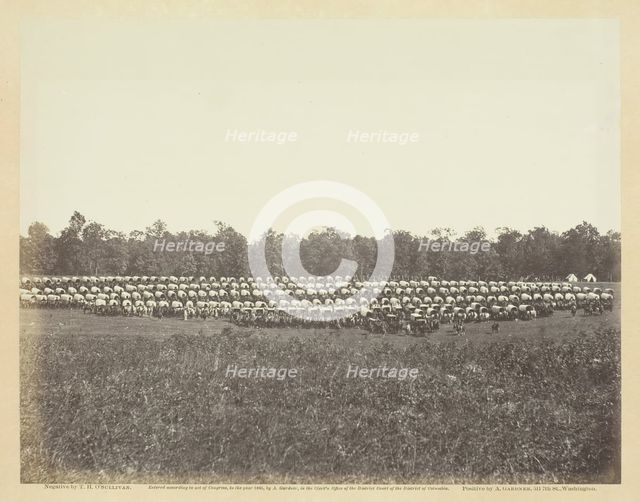 Wagon Park, Brandy Station, Virginia, May 1863. Creator: Alexander Gardner.