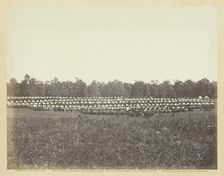 Wagon Park, Brandy Station, Virginia, May 1863. Creator: Alexander Gardner