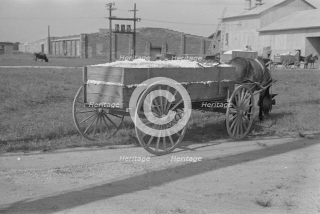 Wagonload of cotton near the gin. Vicinity of Moundville, Alabama, 1936. Creator: Walker Evans.