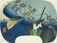 Wagtail and monochoria, n.d. Creator: Ando Hiroshige