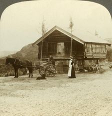 Waiting for passengers on the road near Bolkesjo, Norway c1905. Creator: Unknown