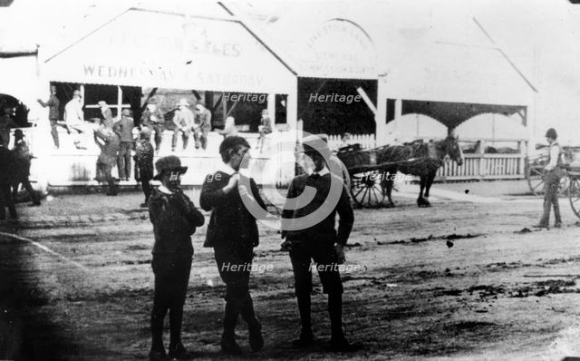 Walker's Sale Yards, c1891. Creator: Unknown.