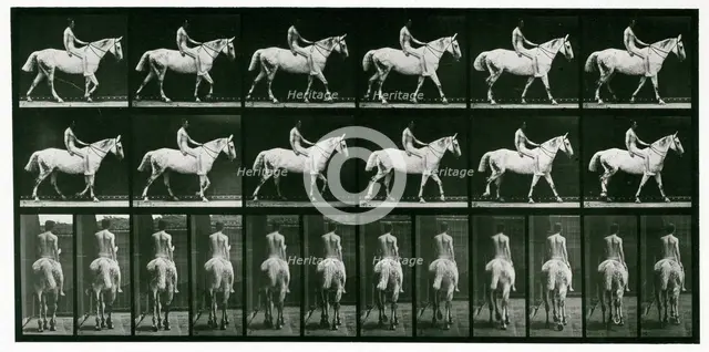 Walking, 1872-1885.  Creator: Eadweard J Muybridge.