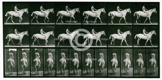 Walking, 1872-1885.  Creator: Eadweard J Muybridge.