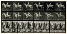 Walking, 1872-1885. Creator: Eadweard J Muybridge