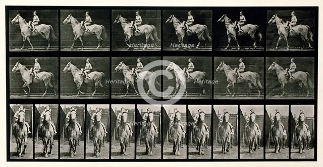 Walking, 1872-1885.  Creator: Eadweard J Muybridge.