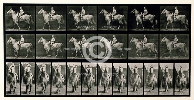 Walking, 1872-1885.  Creator: Eadweard J Muybridge.