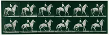Walking, 1872-1885. Creator: Eadweard J Muybridge
